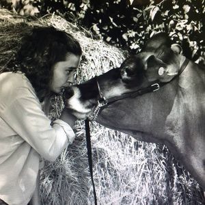 Meet your Posher, Abby